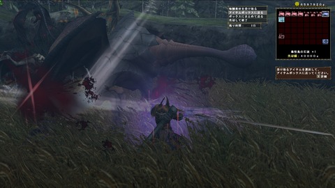 1mhf_20121225_221910_155天嵐ゲリョ