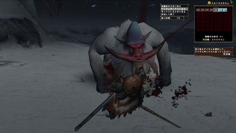 mhf_20121223_225534_214天嵐ドド2