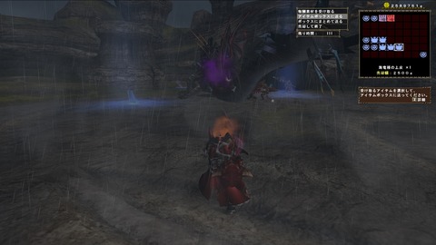 mhf_20121220_224954_140クアル上皮