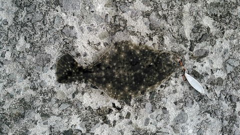 20170626_074743390