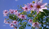 2011-11-24_12_57_01