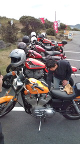 e013eddc.jpg
