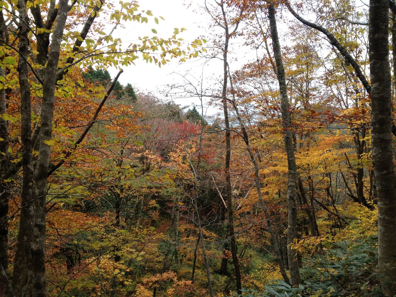 画像 004
