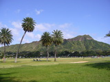 8f6f26db.JPG