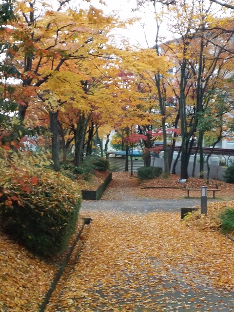 20161120_080732