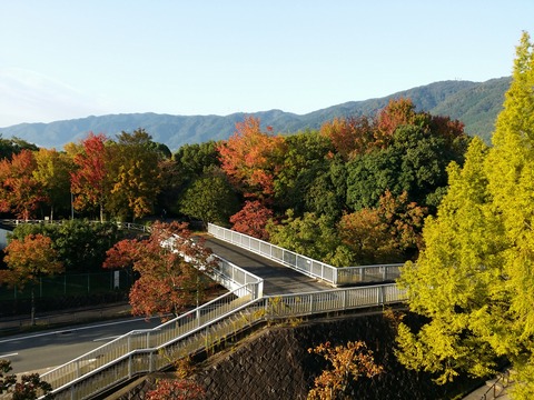 20161030_073830