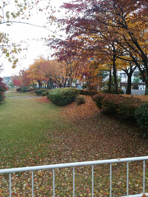 20161120_080704