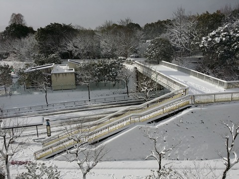 20170115_092712