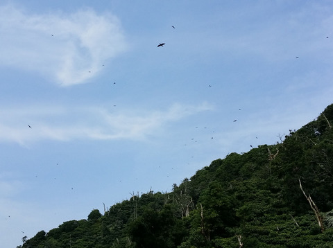 20160724_144104