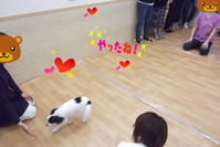 BlogPaint