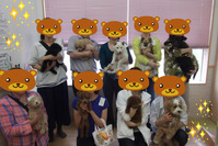 BlogPaint