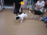 BlogPaint