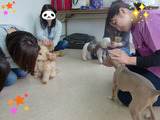 BlogPaint