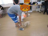 BlogPaint