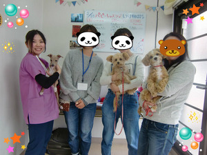 BlogPaint