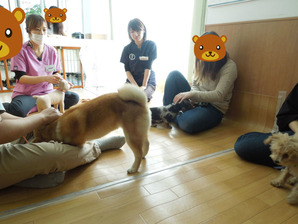 BlogPaint