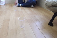 DSCF8099