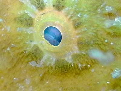 R0016913