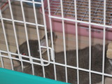 ももの伸び休み