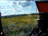f1227d0f.jpg