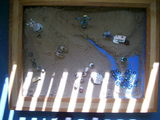 sandtray