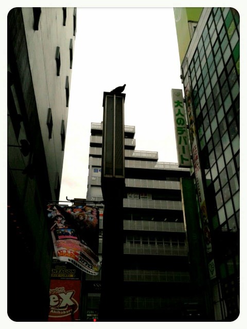 akihabara