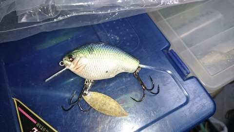 ブレードチューンの威力 釣りは何でも楽しい Vol3