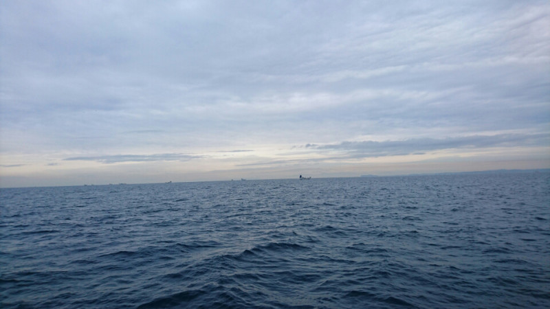 86a9f70d.jpg