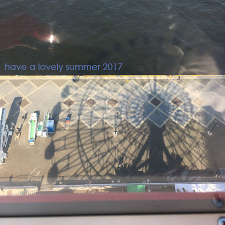 写真-2017-08-11-15-21-43b