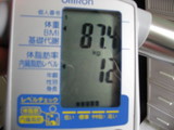 内臓脂肪
