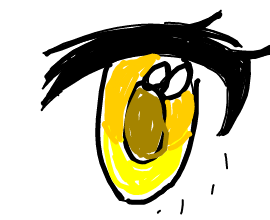 appli-1545402862-413-270x220
