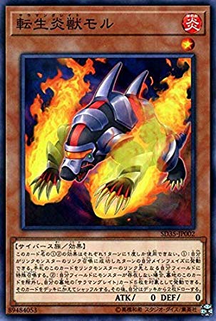 天成炎獣モルの画像4aPg3p5