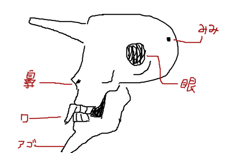 appli-1539260197-555-490x300