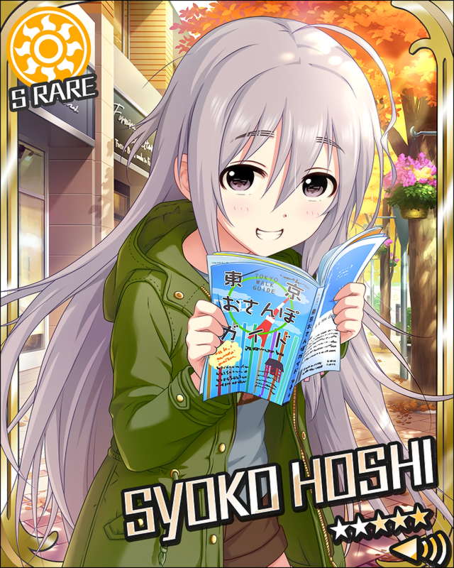 星輝子