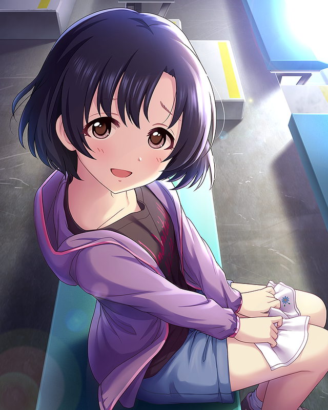 白菊ほたる1