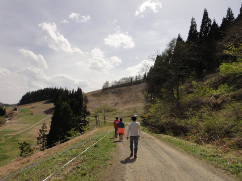 DSC00516