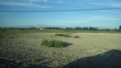 IMGP1589