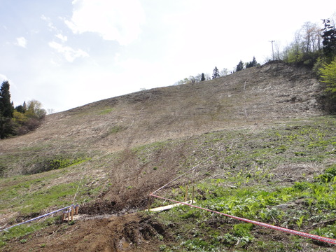 DSC00519