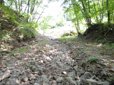 DSC00554