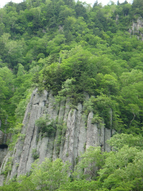DSC03994