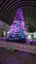 IMG_20171215_214859