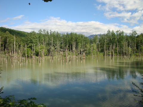 DSC03995