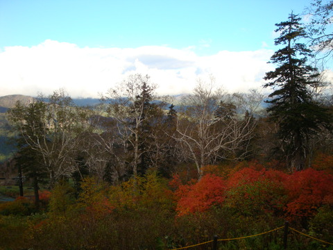 DSC04037