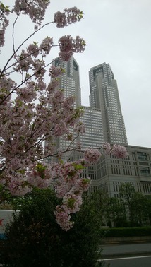 DSC_0014