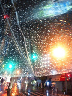 雨と傘