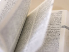 辞書