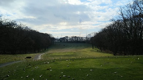 DSC_1489