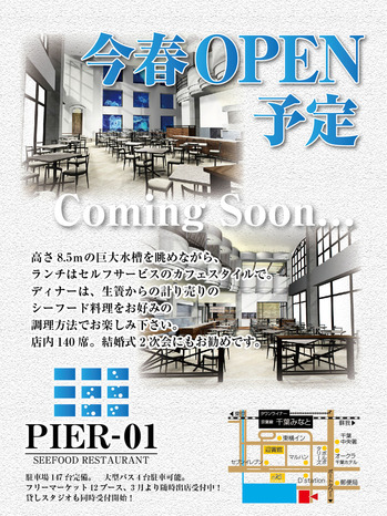 pier_01_coming