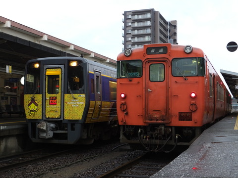 DSCF6328