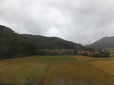 DSCF6443